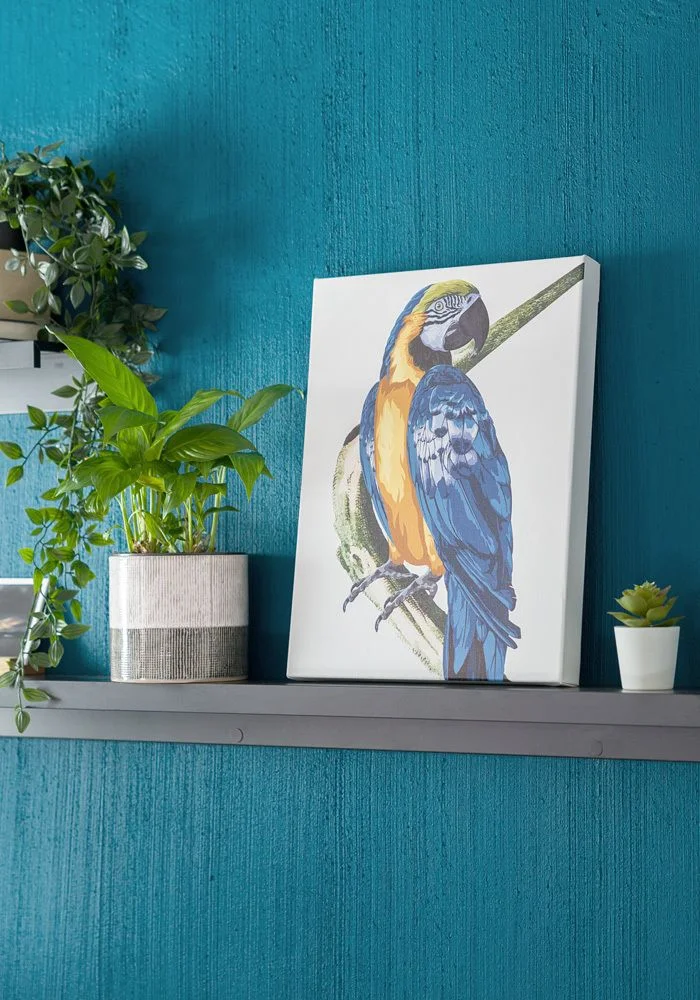 EdelPrint.de – Exklusive And Hochwertige Store